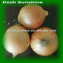 Export 2012 new crop wild onions