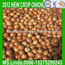 2012 New Crop Grade A Chinese fresh small onion