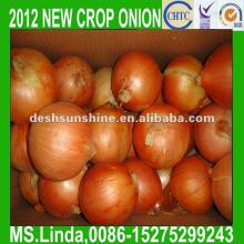 2012 New Crop Grade A Chinese fresh onion price(7-9cm)