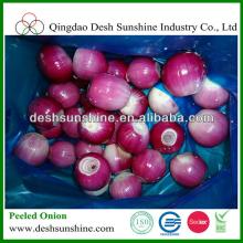 Fresh Whole Peeled Red Onion Price