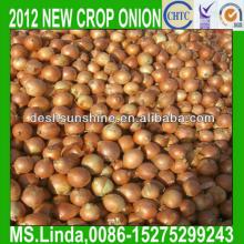 2013 New Crop Grade A Chinese fresh yellow onion