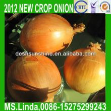 2013 New Crop Grade A Chinese fresh yellow onion 7cm