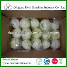Concave Cut Vaccum Packed Peel Onion Factory