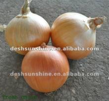 2012 New crop yellow onions price fresh (Grade A) importer