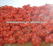 Export 2012 New  harvesting   yellow   onions  from china