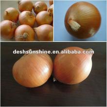 fresh yellow onion price 2012