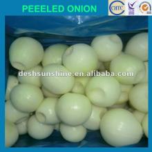 2012 New Crop Chinese Peeled Onion (concave cut,filled nitrogen)