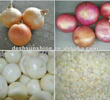 supply China high quality onion agriculture