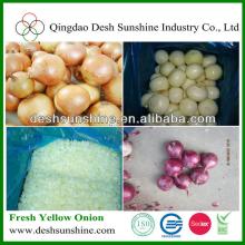 7-9cm yellow onion for sale