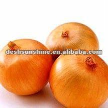 Fresh Yellow Farm Fresh Onion