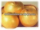onions fresh 20kg from china