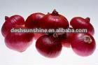  2012   fresh   red   onion 