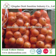 Hot Sale Holland Yellow Onion with Skin