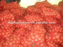 fresh onion with certificate FORM E,