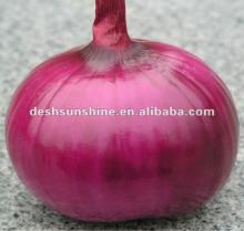 Hot Sale Small Red Onion