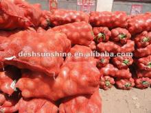  Fresh   onion   2012   red / yellow 
