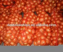 fresh yellow new crop onion size of 5-7cm 6-8cm