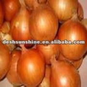 2012 yellow/white fresh onion