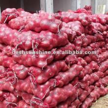 2012  new   crop   red  onion exporter