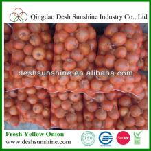 Round Ball Shape 7-9cm Yellow Onion Price