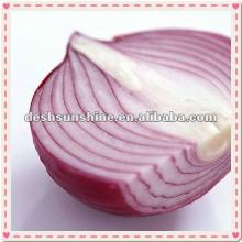 supplying China  new   fresh   red   onion 