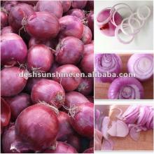 supplying Chinese types red onions