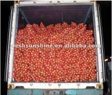2012 new crop fresh yellow onions