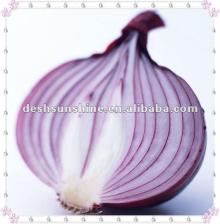 supplying China 2012 fresh farm red onion
