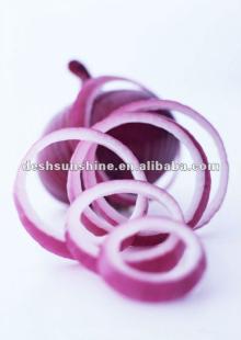 Export 2012 new crop fresh red onion price