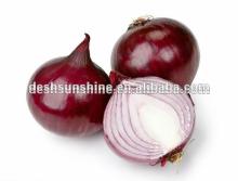 Export 2012 new crop  indian   fresh   red   onion 