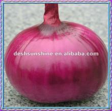 2012 Hot Sale Chinese Fresh Red Onion(6-11cm)