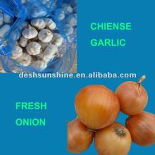 Supply Grade A Chinese  garlic   onion  all the year