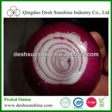 Nitrogen Filled Concave Cut Peeled Red Onion