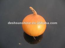 quality spring  new   crop   fresh  onion