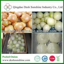 China New Crop Peeled Brown Onion Ring Price
