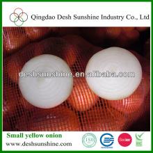 small size yellow onion for sale