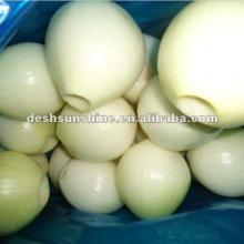 2012 new crop  fresh   peeled  onion(good quality,cheap price)