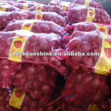 Export 2012 new crop red onion from china