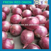 2012 New crop fresh red onion price(50--80mm)