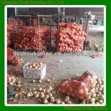 2013 bulk yellow onion, fresh yellow onion for sale