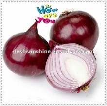 New fresh red onion price in china
