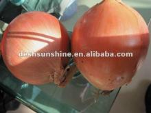 2011 Fresh Onion in Mesh Bag