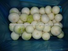 7-9cm peeled onion factory