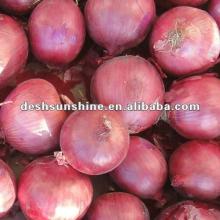 New crop  fresh   red   onion   price  2012
