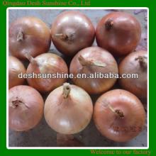 Gansu 5-7cm fresh yellow onions supplier