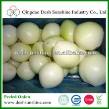 China Bulk Vaccum Packed Peeled Onion