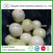 China Peeled Onion Vegetable for 2014