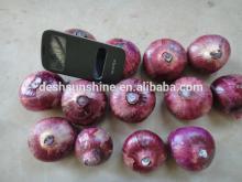 Hot Sale Fresh Red Onion