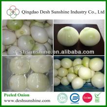 vacuum packed nitrogen filled peeled onion
