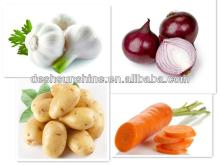2013 New Crop Chinese Fresh Red/Yellow Onion Supplier
